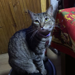 Javiera Gianecchini Profile Picture