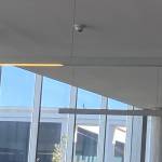 Sebastián Martinez Profile Picture